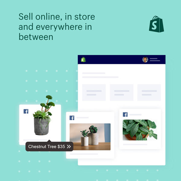 shopify ecommerce system - sell everywhere